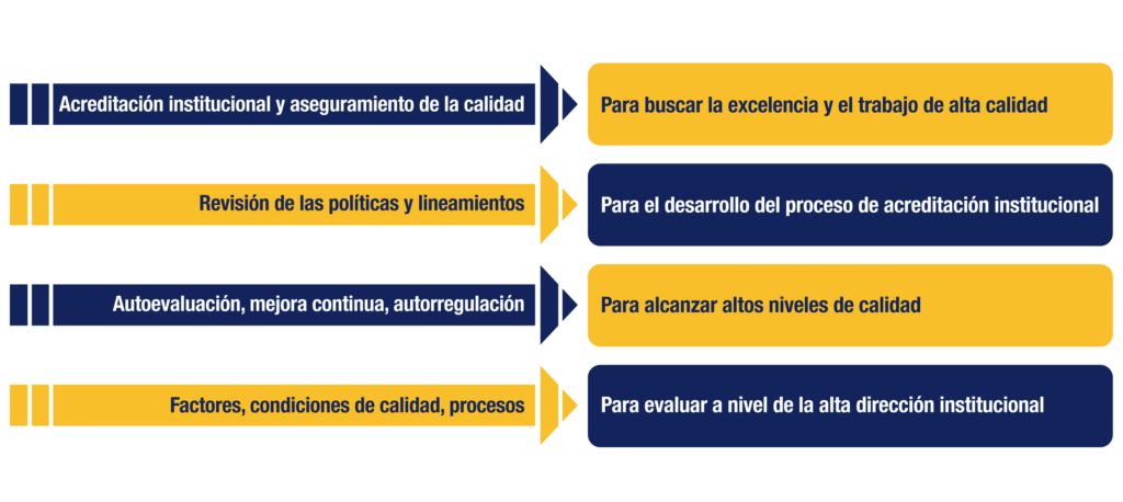 Politicas AIM 2026