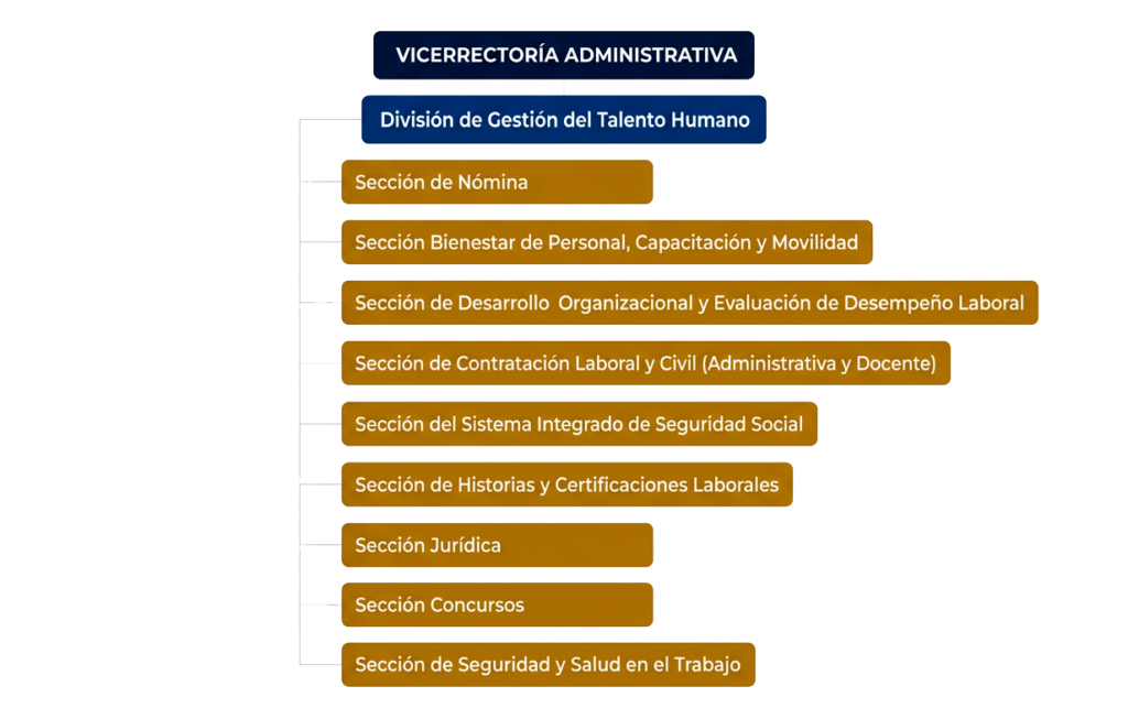 Estructura Administrativa DivTaH e1775516873765