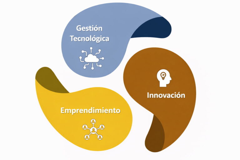 division de desarrollo tecnologico de innovacion