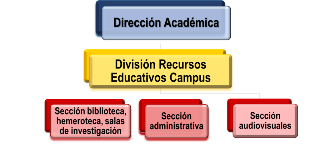organigrama RECNG