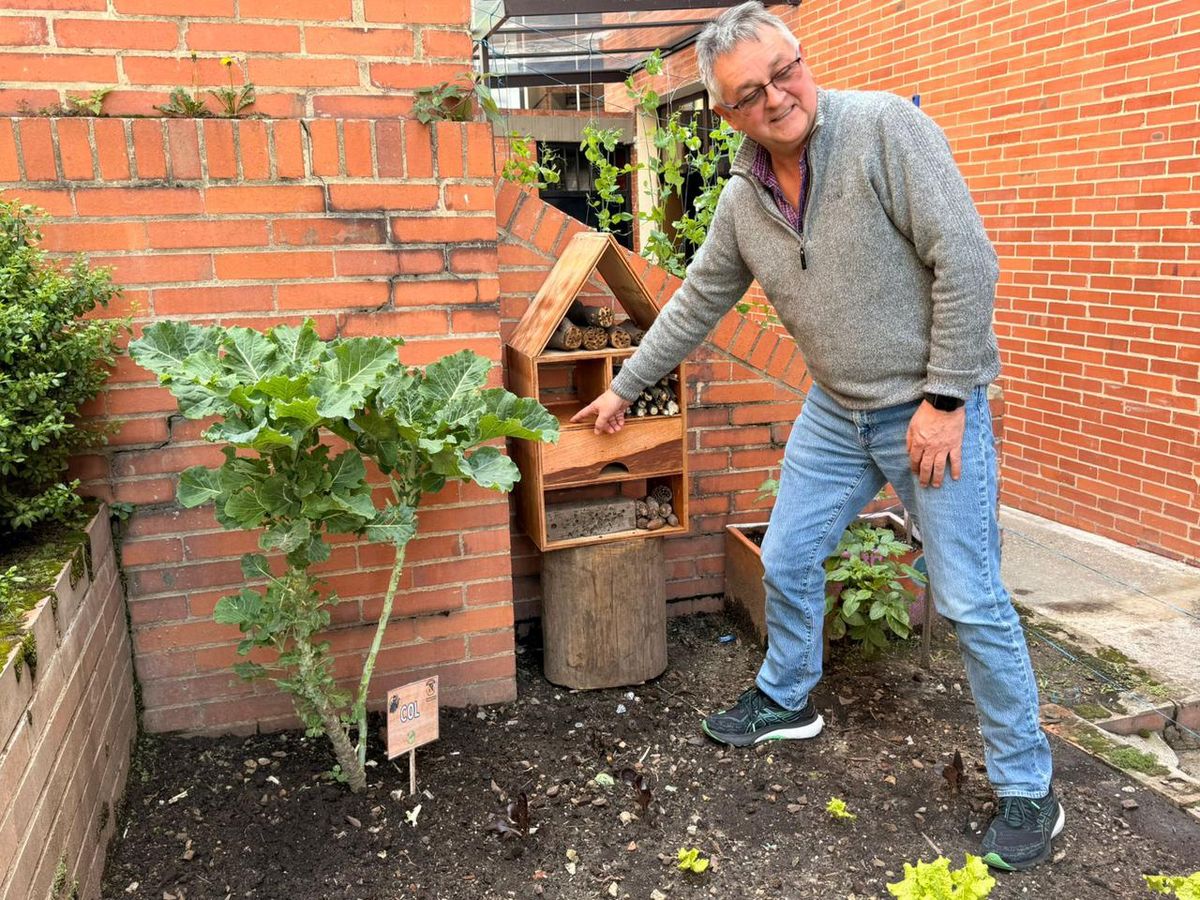 Foto de la huerta