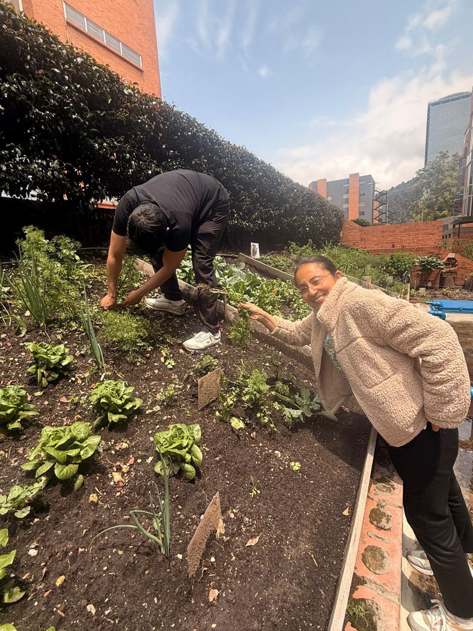 Foto de la huerta