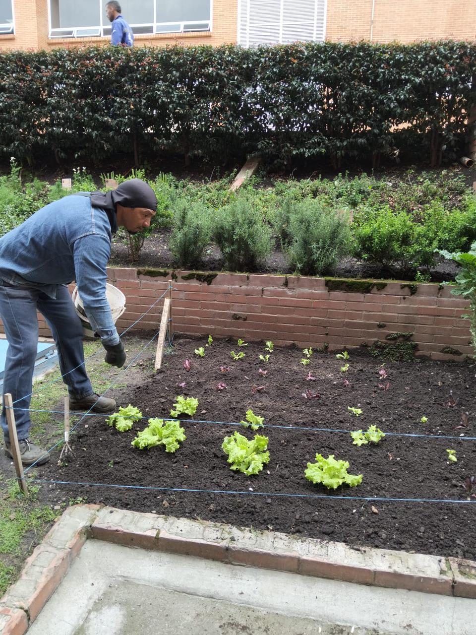 Foto de la huerta