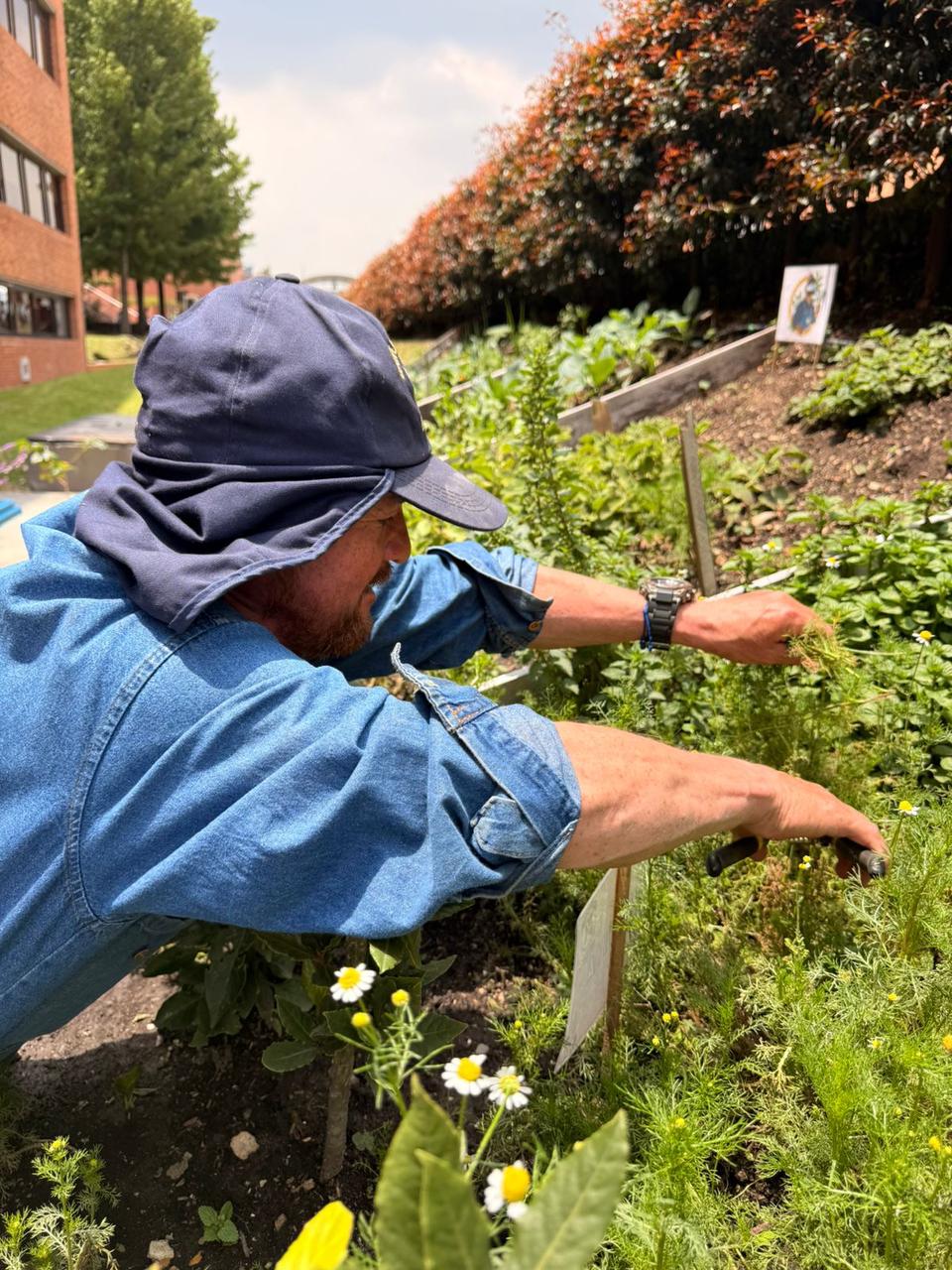 Foto de la huerta