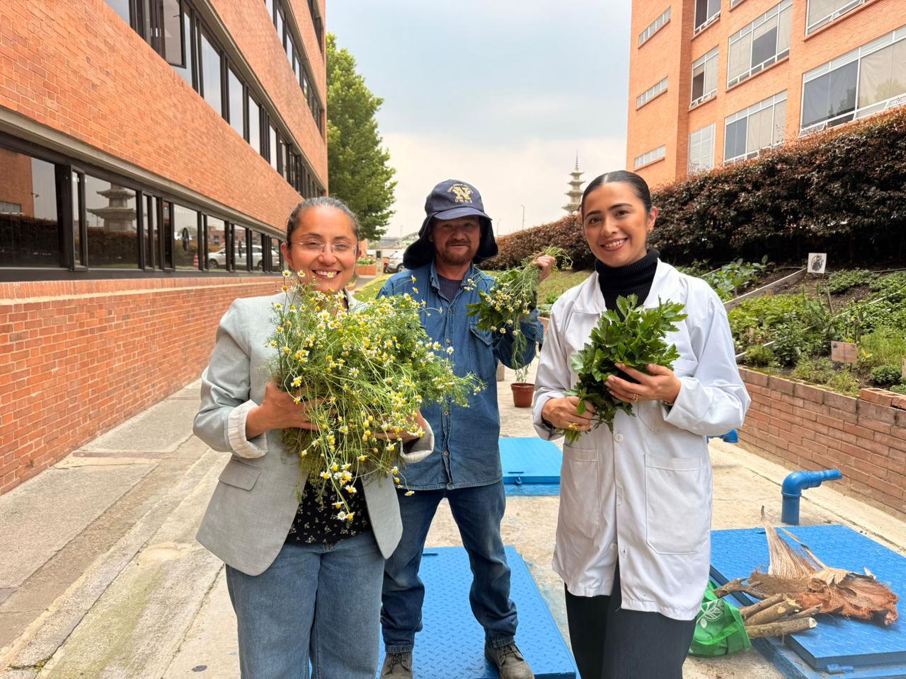 Foto de la huerta