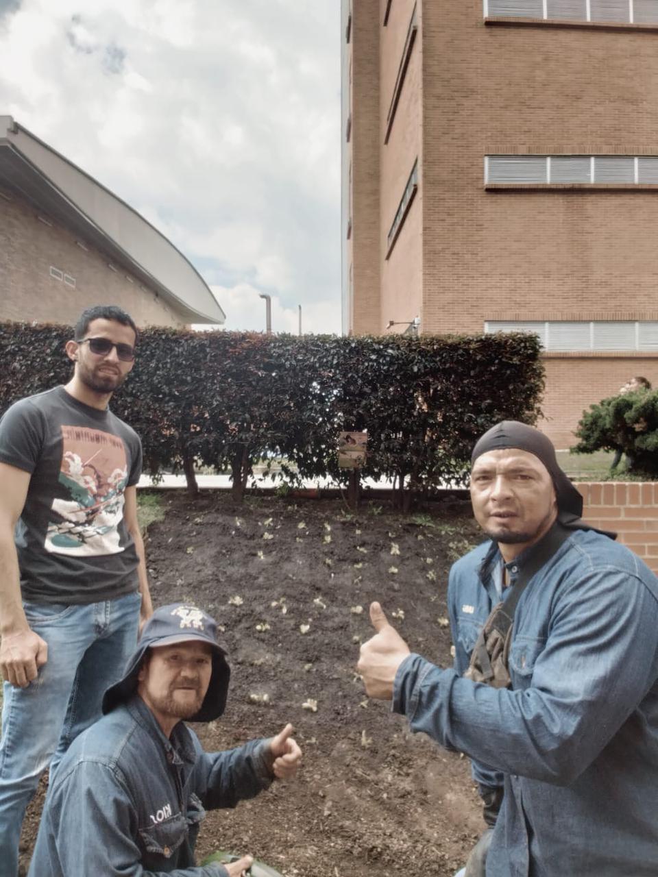 Foto de la huerta