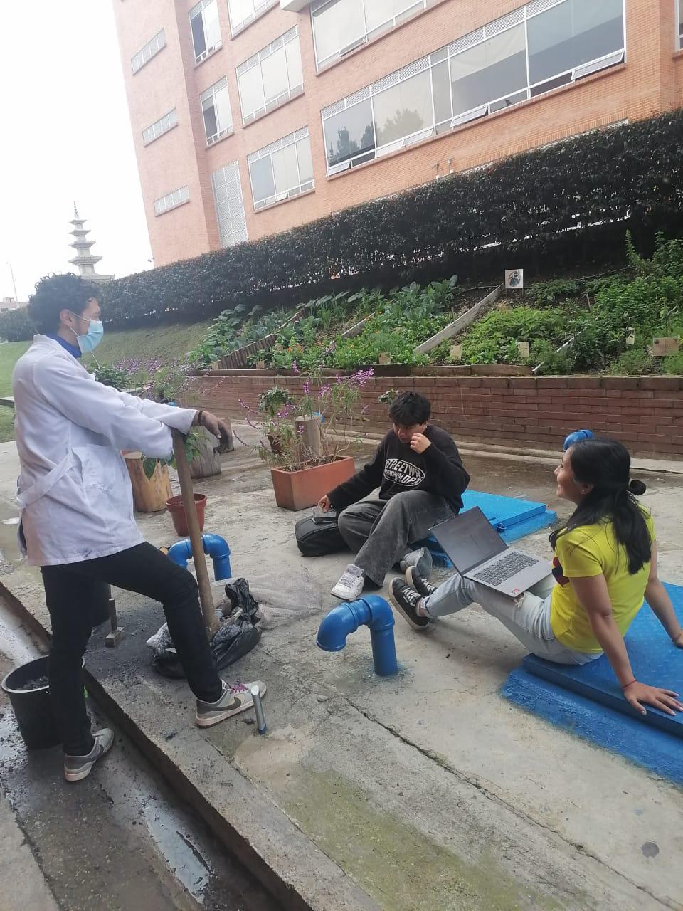 Foto de la huerta