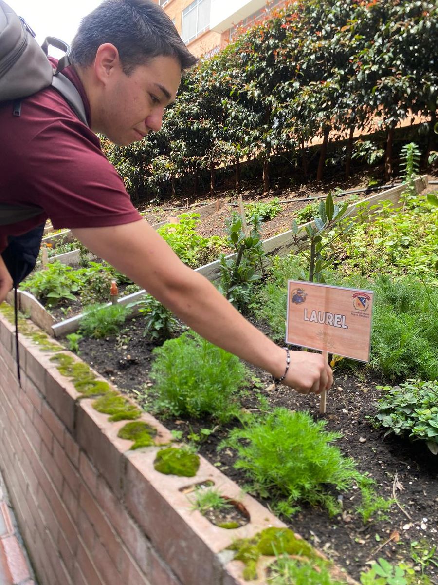 Foto de la huerta