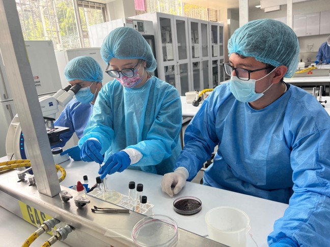 labmedicina2